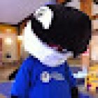 Napier Aquatic Centre