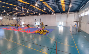 Gimnodesportivo do Paião