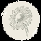 GeraSol - Fisioterapia