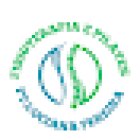 Fisioterapia & Pilates