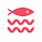 Sardinha Surf School