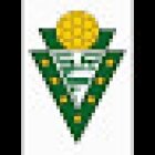 Sociedade Recreativa Estrelas Do Feijó