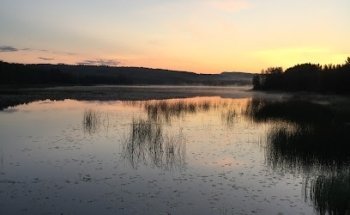 Hälsans stig