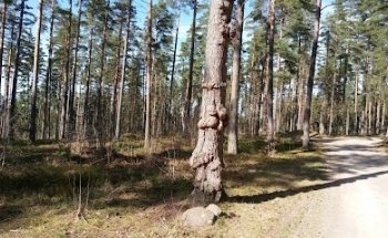 Fitness By Sweden AB