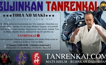 Bujinkan Kaigozan Dojo IF