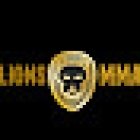 Lions MMA & Fitness