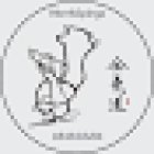 Norrköpings Aikidoklubb