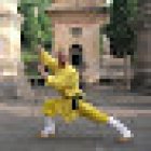 Songshan Shaolin Templets Chan Wu