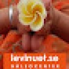 LeviNuet Hälsocenter Gotland