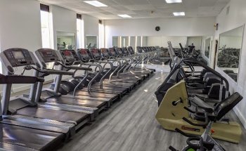 Timber Gym