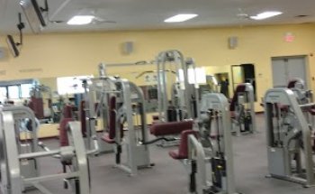 Female Physique's