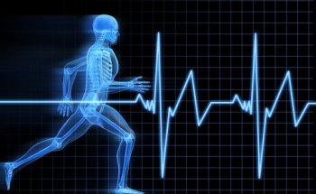 TOTL Fitness