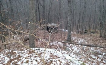 Michael's Deer Stand