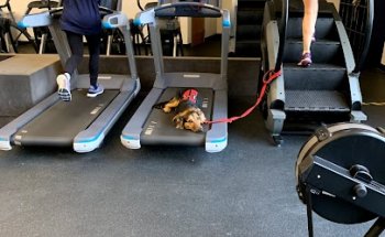 Regis Fitness Center