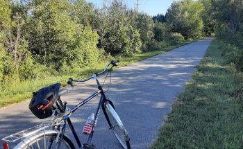White Pine Trail Parking - Cadillac