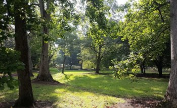 Lake Kendall Walking Trail