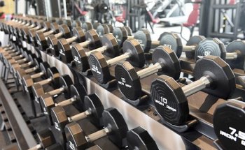Success Studio North