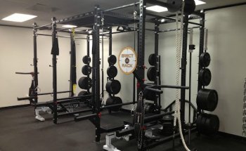 The Institute of Strength and Development