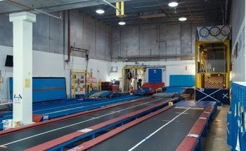 Gymnastics Divine