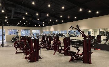 Thrive Fitness Plus