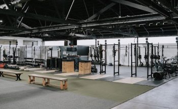 Notorious Fitness