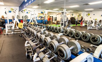Fitness Defined