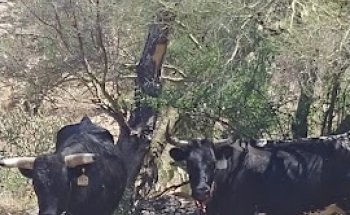 National Guard Range Access