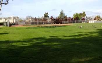 54/80 Baseball Field