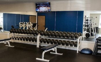 1N1 Fitness