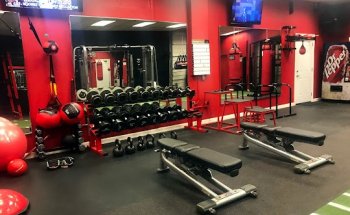 Fit Life Generation