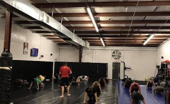 Bod-E Shock Fitness