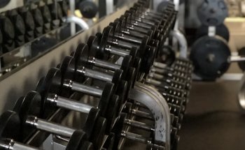 Living Fit Club