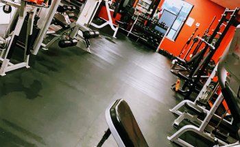 The Perfect Body Studio