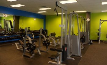 Elevated Fitness Inc