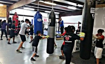All Heart Boxing