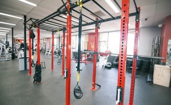 I B Fitness