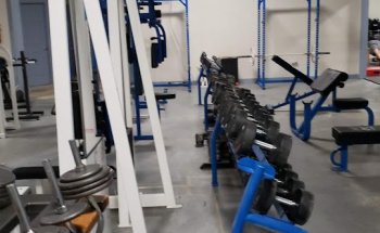 BioBolic Fitness