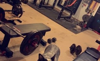 Edgewood Barbell