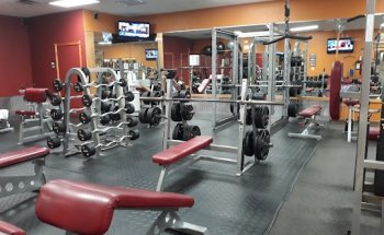The ZOO Health Club - Downtown Lake Worth