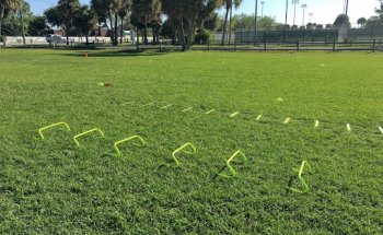 South Florida Fitness, LLC