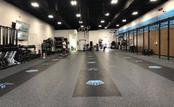 Fyzical Fitness