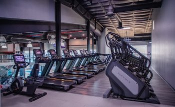 The Gym Legacy