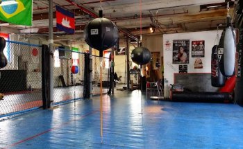 IntenZe 978 Boxing