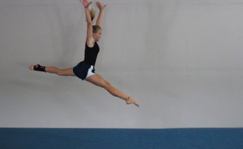 The MegaGym