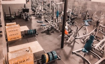 Wildcat Fitness