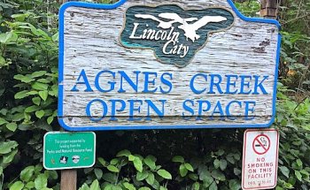 Agnes Creek Open Space