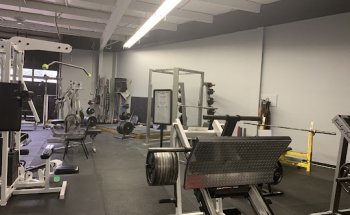 The Muscle Studio