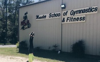 Moseley Gymnastics