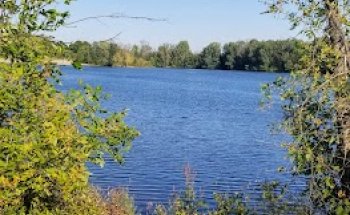 The Rope Swing