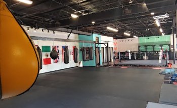 Right Cross Boxing